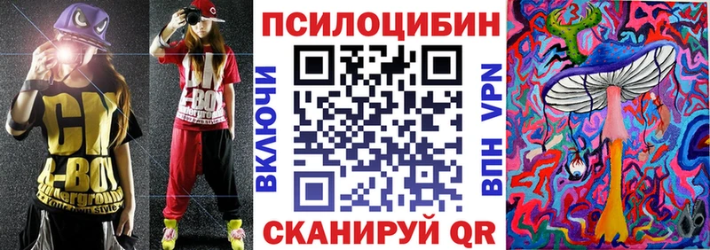 Псилоцибиновые грибы Psilocybe  Новоалтайск 